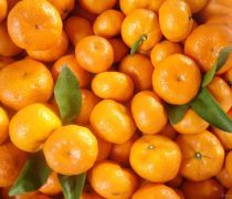 亞克力雙層貼片米奇無別針DIY手機(jī)殼材料 創(chuàng)意與實(shí)用并存的DIY時(shí)尚潮流